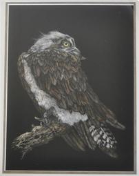 "Osprey" Scratchboard Art by George Ann Johnson 202//255